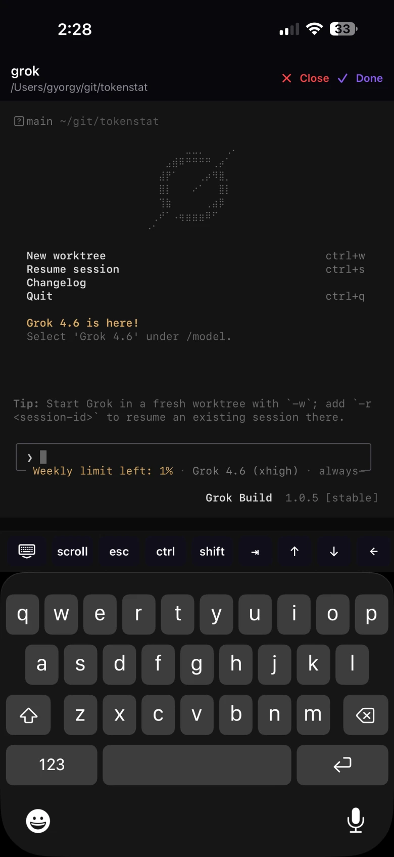 tokenstat on iPhone: a live agent session attached in a terminal, with the keyboard up