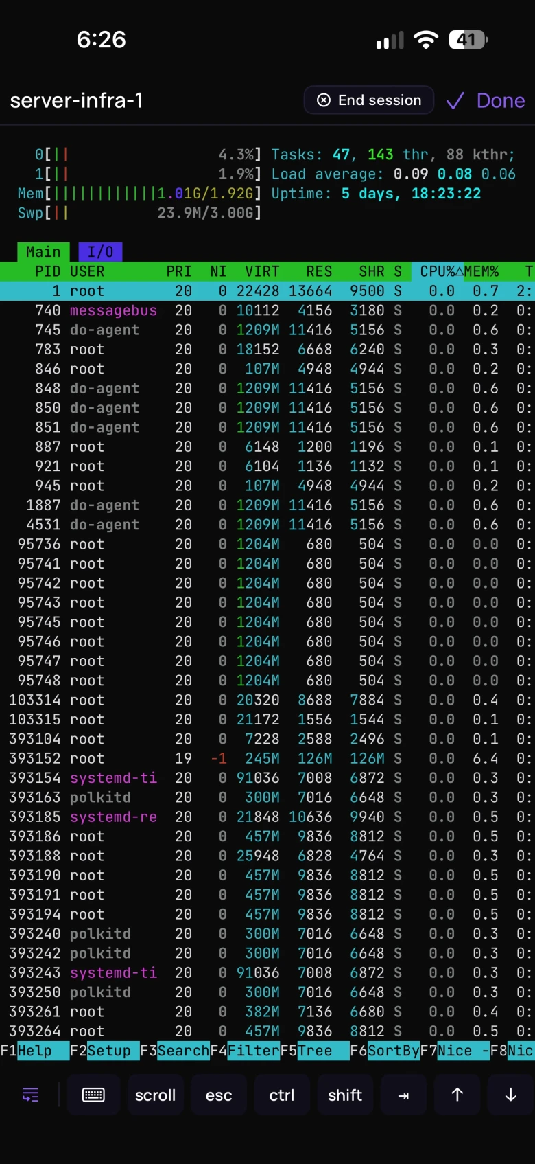 tokenstat on iPhone: htop running on a server over SSH