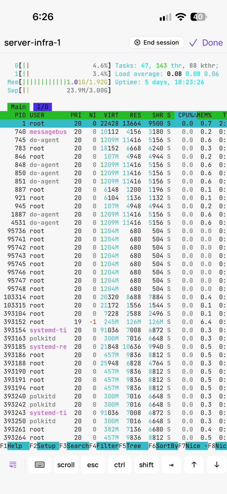 tokenstat on iPhone: htop running on a server over SSH